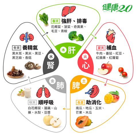 水果五行|藥補不如食補！吃這『五色』食物養五臟